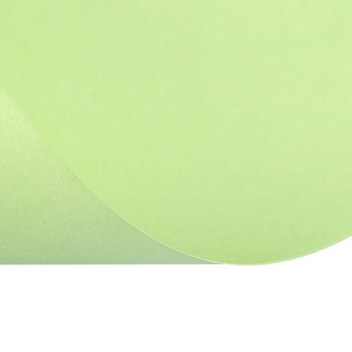 Бумага цветная А4, 50 листов Calligrata Пастель, зелёная, 80 г/м&sup2;