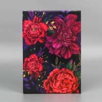 Папка для документов «Docs», 8 файлов А4 Папка для документов «Docs», 8 файлов А4