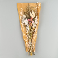 Набор сухоцветов 4 вида &laquo;Превосходство&raquo; 47 &times; 21,5 &times; 9 см