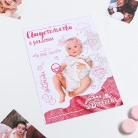 Папка для свидетельства о рождении &laquo;Скетч&raquo;, для девочки, А4
