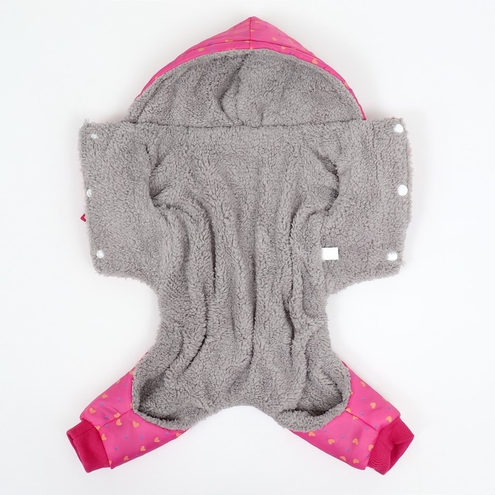 Комбинезон Комбинезон "нежный путь" на меховом подкладе, размер 2XL (ДС 45, ОШ 45, ОГ 55 см), розовый