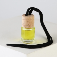 Ароматизатор в автомобиль на 23 Февраля «Блестящих побед», аромат: цитрус Ароматизатор в автомобиль на 23 Февраля «Блестящих побед», аромат: цитрус