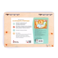 Обучающая доска «Календарь природы» Обучающая доска «Календарь природы»