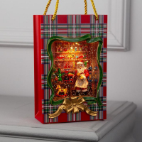 Светодиодная фигура &laquo;Пакет с Дедом Морозом&raquo; 15 &times; 23 &times; 7 см, пластик, батарейки ААх3 (не в комплекте), USB, свечение тёплое белое