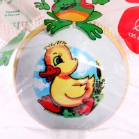 Мяч резиновый, с рисунком, диаметр 12,5 см, цвета МИКС Мяч резиновый, с рисунком, диаметр 12,5 см, цвета МИКС