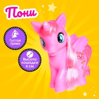 Пони &laquo;Малыш&raquo;, МИКС