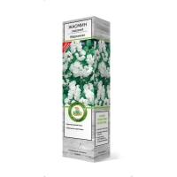 Жасмин садовый (Чубушник) "Вёджинэл" 1 шт, туба, Весна 2025