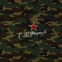 Бумага упаковочная глянцевая &laquo;С 23 февраля&raquo;, 70 х 100 см