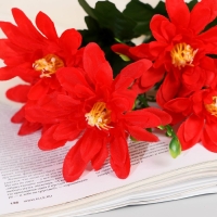 Букет "Аквилегия барлоу" 6х27 см, микс