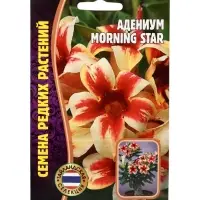 Семена цветов Адениум Morning Star 3 шт.   12.29 г.