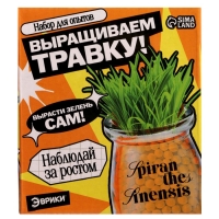 ЭВРИКИ Набор для опытов "Выращиваем травку", оранжевый