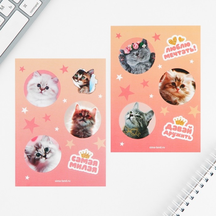 Набор блокнот А6, 32 листа, наклейки, магнитные закладки &laquo;Милый котенок&raquo;