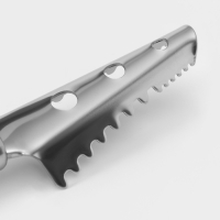 Рыбочистка Доляна Venus, 25 см, нержавеющая сталь, цвет чёрный