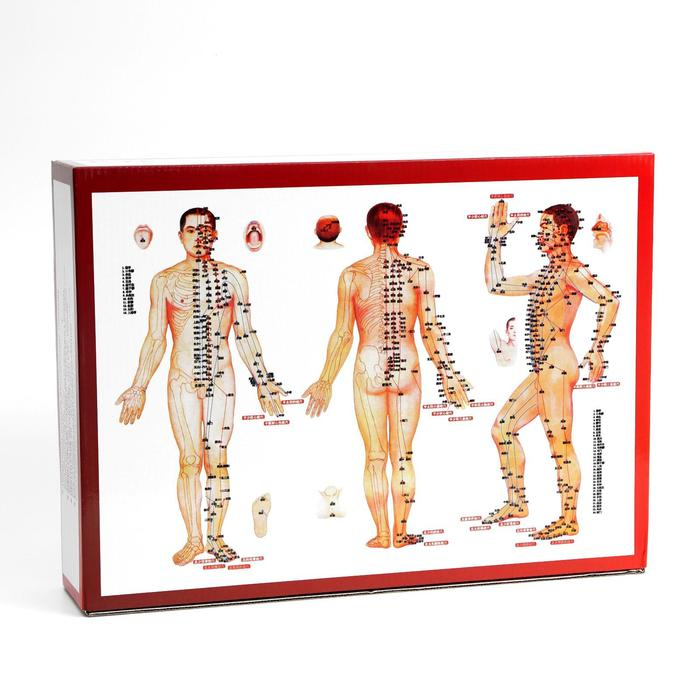 Банки акупункционного действия для вакуумного массажа с насосом, набор 32 шт. Банки акупункционного действия для вакуумного массажа с насосом, набор 32 шт.