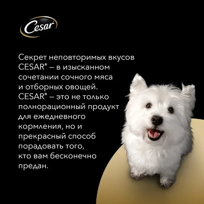 Влажный корм Cesar для собак, говядина/кролик/шпинат, пауч, 85 г