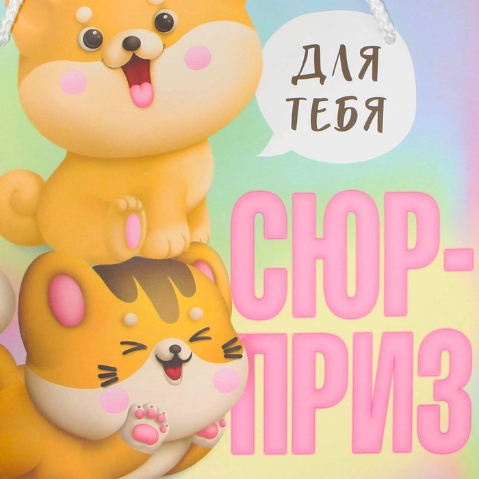 Пакет подарочный, упаковка, &laquo;Сюрприз&raquo;, 25 х 26 х 10 см