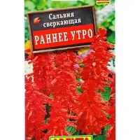 Семена цветов Сальвия Раннее утро , Ц/П,0,1 г