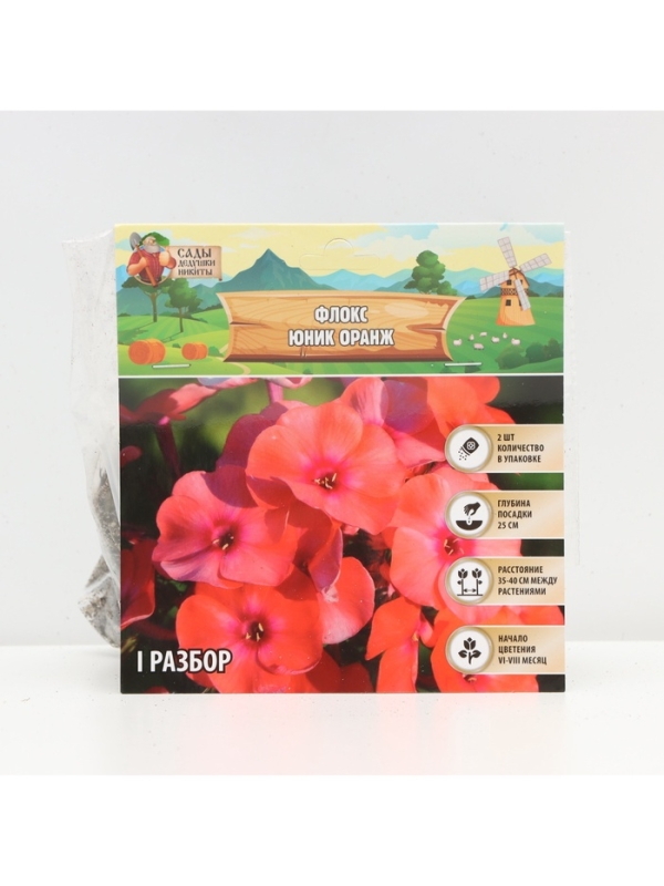 Флокс &laquo;Юник Оранж&raquo; корневище в пакете с торфогрунтом, р-р I, 2 шт.