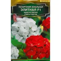 Семена цветов Пеларгония Элитная F1 красно-белая, смесь сортов Мн Золотая серия, Ц/П,5 шт.