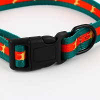 Ошейник &laquo;На стиле&raquo;, застёжка - фастекс, 2.5 см, 40-55 см