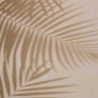 Фотофон двусторонний бумага 300 гр "Тень и листья" 57х87 см Фотофон двусторонний бумага 300 гр "Тень и листья" 57х87 см