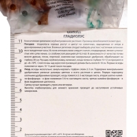 Гладиолус крупноцветковый &laquo;Джестер&raquo;, луковица цветов в пакете с перфорацией, р-р 10/12, 10 шт.