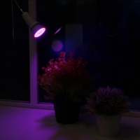 Фитолампа для растений Luazon, светодиодная, E27, 6 Вт, IP44, 220 В, 270&deg;, биколорная