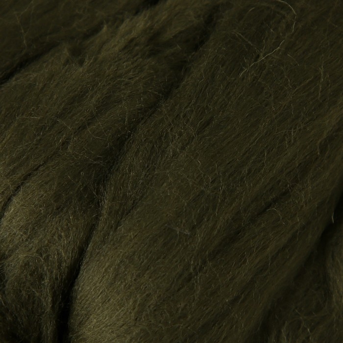 Шерсть для валяния 100% тонкая шерсть 50гр (19-Мох) Шерсть для валяния 100% тонкая шерсть 50гр (19-Мох)