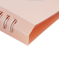 Нотная папка - 10 файлов 20 листов розовая