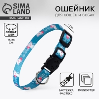 Ошейник для кошек с фастексом &laquo;Хочу на ручки&raquo;, 30 х 1 см