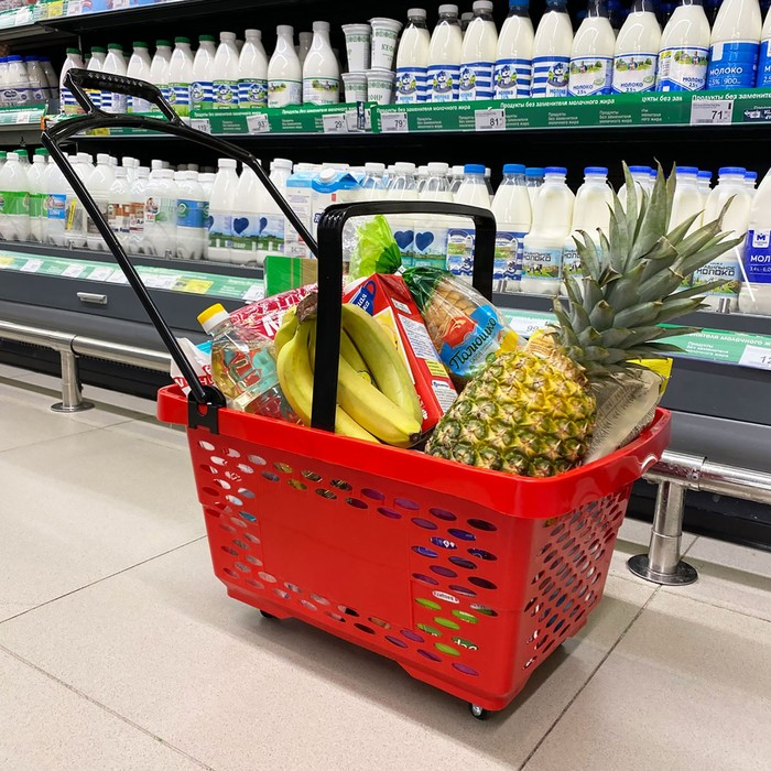 Корзина-тележка на 4 колесах пластиковая, 28 л, с 2 пластиковыми ручками, цвет красный Корзина-тележка на 4 колесах пластиковая, 28 л, с 2 пластиковыми ручками, цвет красный