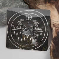 Кольцо &laquo;Папоротник&raquo; цвет чернёное серебро, 19 размер