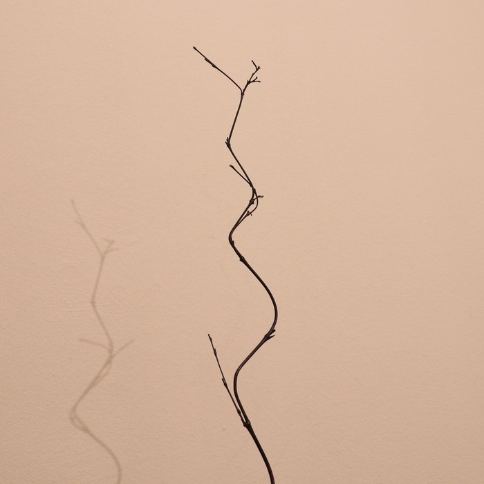 Интерьерный декор из бамбука, 200 см тёмный Интерьерный декор из бамбука, 200 см тёмный