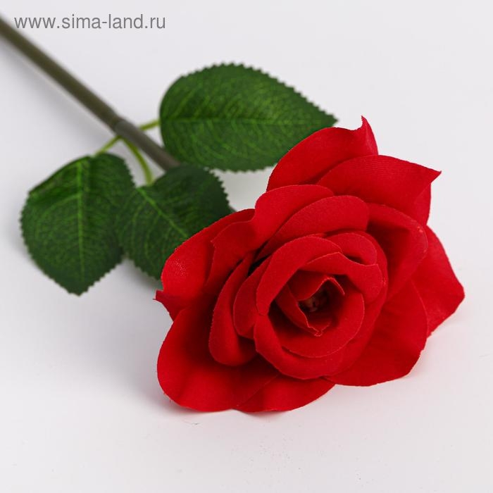 Ручка прикол, шариковая, синяя паста, 1.0 мм, пластик &laquo;Самая нежная&raquo;