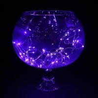 Гирлянда &laquo;Нить&raquo; 5 м роса, IP20, серебристая нить, 50 LED, батарейки CR2032х2 (в комплекте), свечение фиолетовое