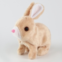 Мягкая игрушка интерактивная «Зайка» Мягкая игрушка интерактивная «Зайка»