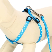 Комплект "Классика", капрон, поводок 120 х 1 см, ОГ 21-35 см, голубой Комплект "Классика", капрон, поводок 120 х 1 см, ОГ 21-35 см, голубой