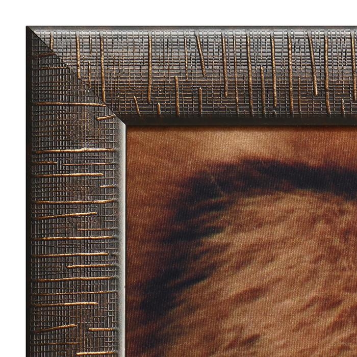 Картина велюр Картина велюр "Взгляд тигра" 100х70 (105х74) см