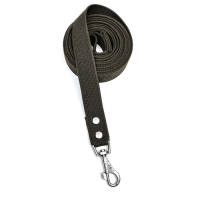 Поводок брезентовый 5 м х 3,5 см, тёмно-зелёный