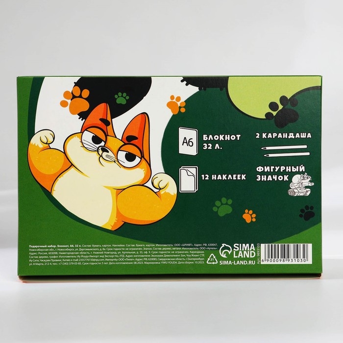 Подарочный набор &laquo;Кот&raquo; блокнот А6, значок, наклейки и карандаши 2 шт