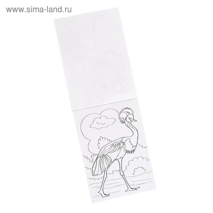 Комплект раскрасок 100 листов &laquo;Удивительный зоопарк&raquo;