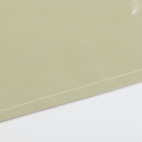 Салфетка сервировочная, плейсмат &laquo;Ботаник&raquo; 40х30 см