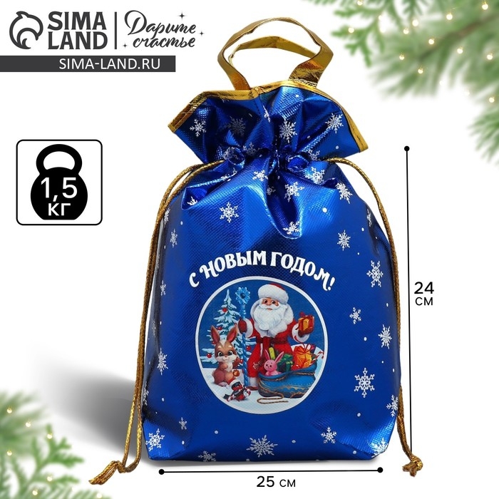 Пакет-мешок из нетканного материала &laquo;Новый год&raquo;, 25 х 32 см, Новый год