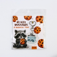 Брелок для ключей акриловый «Енот», 5 х 4,9 см Брелок для ключей акриловый «Енот», 5 х 4,9 см