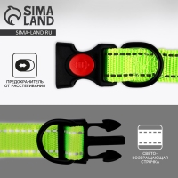 Ошейник с подкладом из нейлона с фастексом 2 см, ОШ 27-40 см, зелёный Ошейник с подкладом из нейлона с фастексом 2 см, ОШ 27-40 см, зелёный