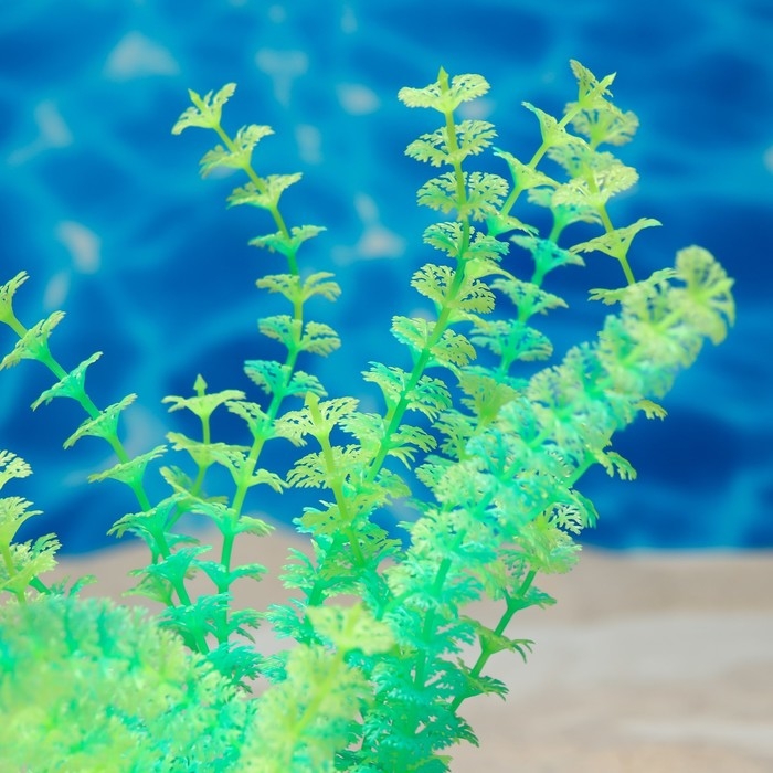Растение искусственное аквариумное, светящееся, 18 см, зелёное Растение искусственное аквариумное, светящееся, 18 см, зелёное