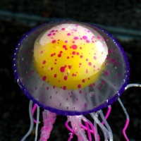 Декор для аквариума "Медуза", силиконовая, флуоресцентная, 6,5 х 6,5 х 11,5 см, фиолето Декор для аквариума "Медуза", силиконовая, флуоресцентная, 6,5 х 6,5 х 11,5 см, фиолето