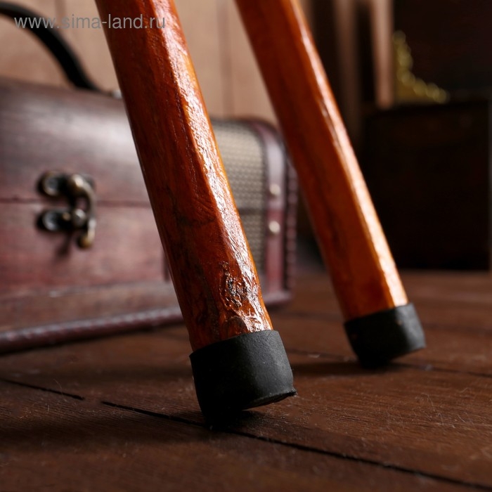 Трость "Сказка" эвкалипт МИКС 92х4х4 см