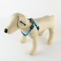 Комплект &laquo;Дай пять!&raquo;, шлейка 26-39 см, поводок 120х1 см, медальон