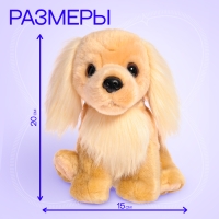 Мягкая игрушка «Собака золотистый ретривер», 20 см Мягкая игрушка «Собака золотистый ретривер», 20 см